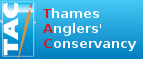 Thames Anglers' Conservancy